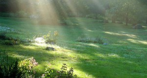 Elfengeburtstag | Seitenheader