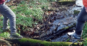 Schule | Seitenheader