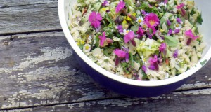 Kraeuterkueche | Seitenheader