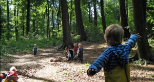 Waldgruppen | Weidenwuseln | Seitenheader