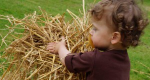 Heidebeidearbeit | Seitenheader