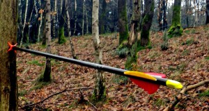 Bogen|Pfeil|Seitenheader