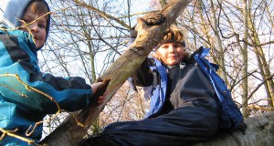 Faehrtensucher|Winter|Seitenheader