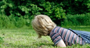 Faehrtensucher|Naturerfahrung|Seitenheader