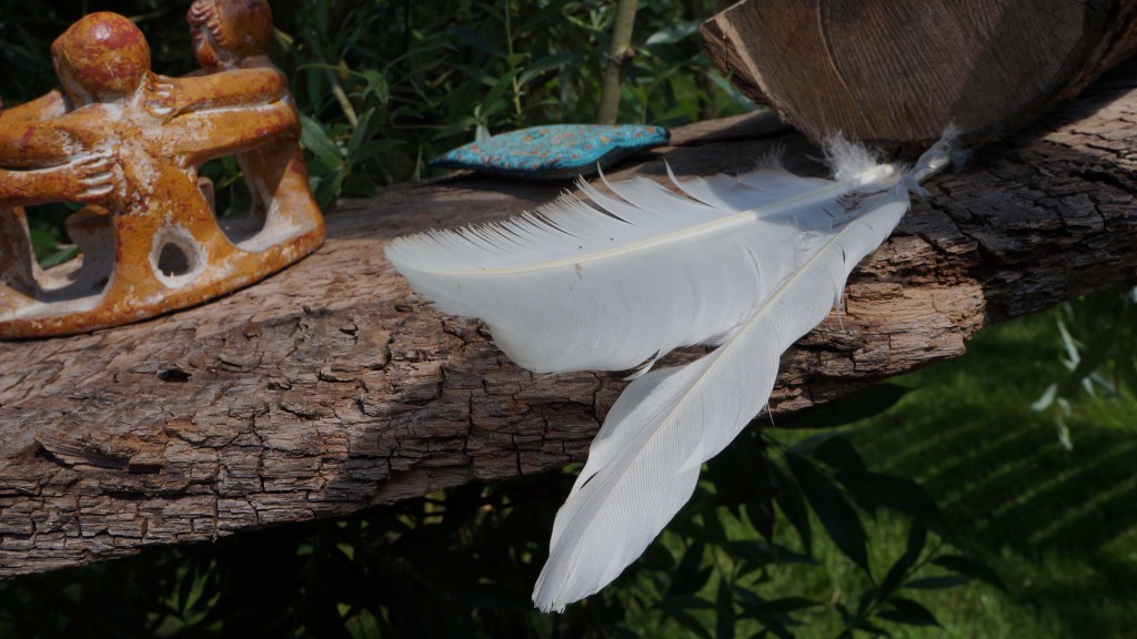 Ritual|Feder|Seitenheader