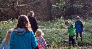 Naturexkursion|Ferien|Seitenheader