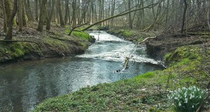 Natur|Joelleauen|Seitenheader