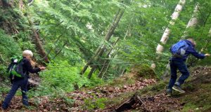 Moorbachtal|Kinder|Seitenheader