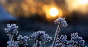 Impressionen|Zauberwaldgarten|Winter