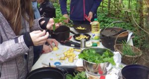 Waldscouts|wilde Küche|Sommer