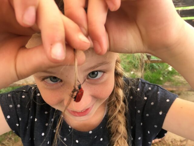 1282 78bc5673ae1c3c0d5a6cdbfeba73f19d-13.12.2022, 09 05 57